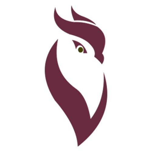 logo Instinct Digital représentant une chouette bienveillante